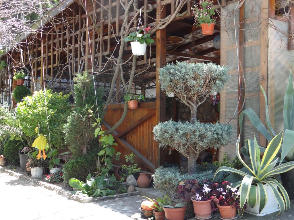 Guest House Rusalka Beala Exterior foto