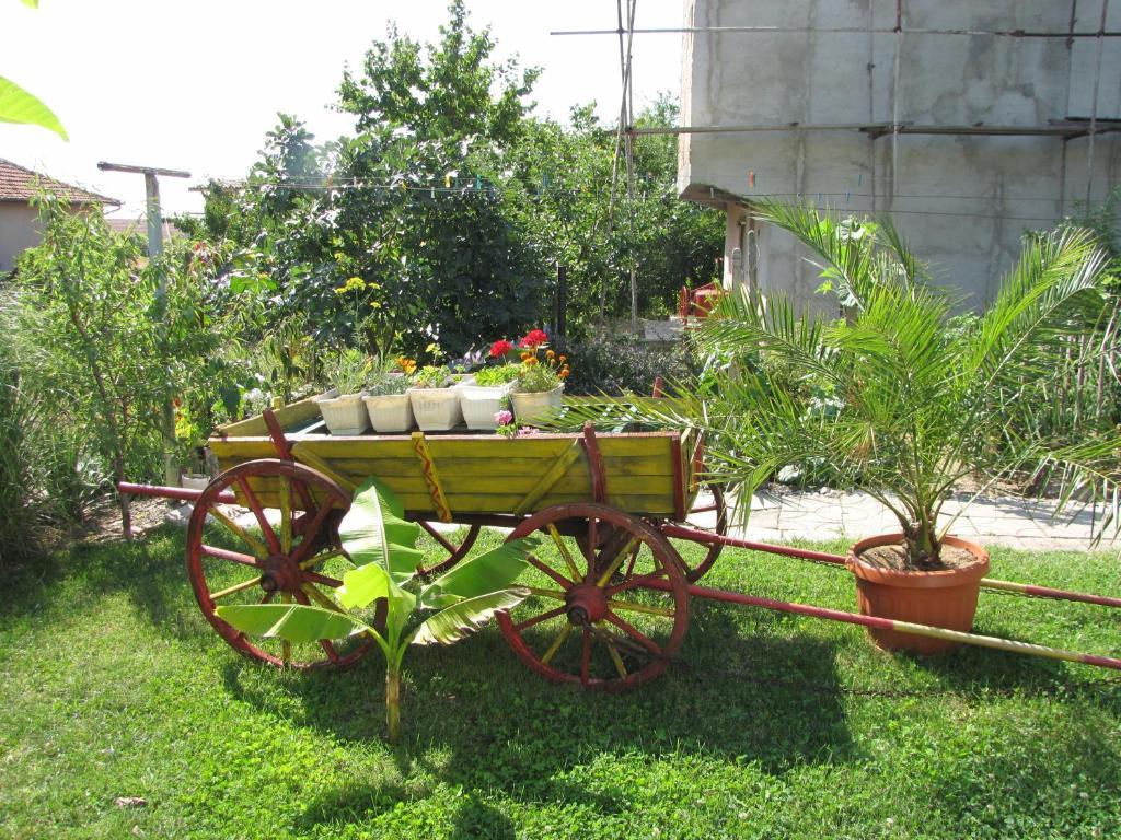 Guest House Rusalka Beala Exterior foto